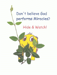 Greeting Card Image